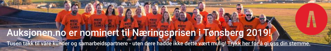 Kampanjebanner på Auksjonen.no